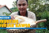 unboxing durian bawor